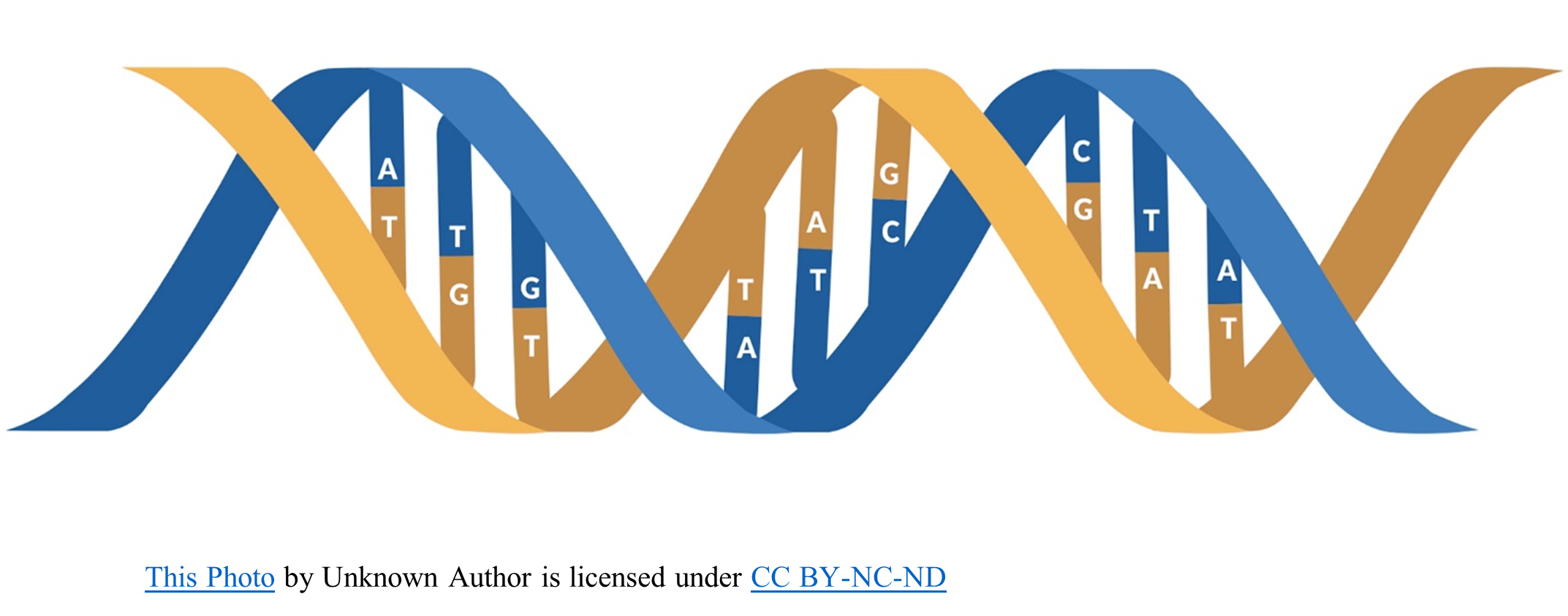 Gene editing: Excerpt “Rhodesian Doll Hunt”