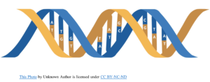DNA strand ATCG
